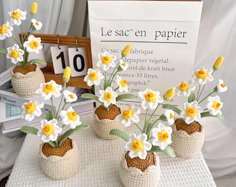 Häkelblumen, Gehäkelte Narzisse im Topf, Häkelpflanze, Schreibtisch Dekoration, Handgemachte Blume, Geschenk für Sie, Geschenke für Geburtstag