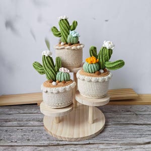 Peut inclure: Un présentoir en bois à plusieurs niveaux présente trois cactus crochetés dans des pots blancs. Les cactus sont verts avec des fleurs blanches et orange. Les pots ont une bordure beige et sont remplis de matière brune.