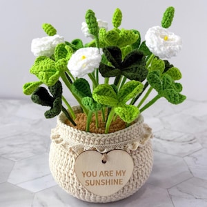 Crochet Plant, Crochet Clover, Handmade Crochet Clover Flower Pot Plant, Office Decoration, Home Table Decor, Gift for Her/He/Teacher
