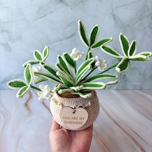 Handmade crochet Orchid plants, desk decoration, room decoration, handmade Orchid Grass, Desk Flowers, gift for her