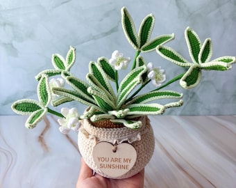 Handgemaakte gehaakte orchideeplanten, bureaudecoratie, kamerdecoratie, handgemaakt orchideegras, bureaubloemen, cadeau voor haar