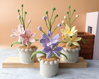 Crochet Flowers in Pot, Handmade Crochet Poinsettia with Mothers Day Card, Red Flower Crochet Gift for Mom, Teacher, Bridesmaid Gift