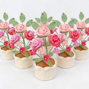 Puede incluir: Varios arreglos florales de ganchillo en macetas pequeñas de color crema. Las flores son de varios tonos de rosa y rojo, con hojas y tallos verdes. Las macetas tienen un borde festoneado y están sobre una superficie blanca.