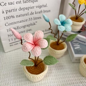 May include: Handmade crochet flowers in small cream-colored pots. The flowers are pink, blue, and yellow, with green leaves. The pots have a brown base. The background includes a paper bag with French text.