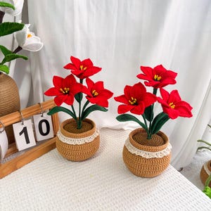 May include: Two crochet poinsettia plants in brown pots with white lace trim. Each plant has vibrant red flowers, green leaves, and a brown base. The pots are crocheted in a basket weave pattern. The background is a white surface.