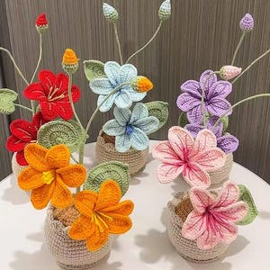 May include: A collection of handmade crochet flowers in small woven pots. The flowers are in various colors, including red, orange, blue, purple, and pink, with green leaves and stems. The arrangement is on a white surface.
