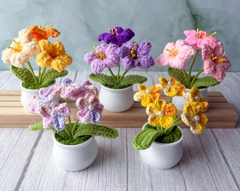 Crochet Flower Gift Set, Crochet Flower in Pot, Morning Glory/Strawberry/Sunflower/Babysbreath, Birthday Gift for Mom, Crochet Gifts