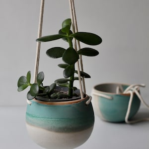 May include: A hanging ceramic plant pot with a jade plant. The pot has a two-tone design, with a white base and a teal top. The plant has dark green, oval leaves. A second, similar pot is in the background.