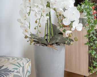 Künstliche Orchideen Im Topf Beton-optik Phalaenopsis Schmetterling Textilblume Weiße Blüten 5 Rispen Fake Blumen Groß XXL Wie Echt 90cm