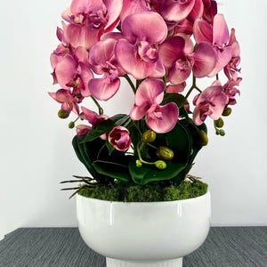 Orquídeas en estilo creativo con tapa de cerámica en color blanco Rosa Blüten 55 cm de alto 6x Orquídeas en maceta con flores falsas reales Phalaenopsis