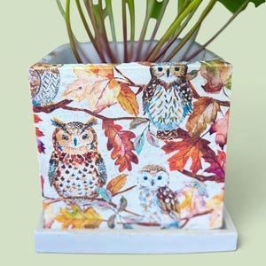 May include: A square white planter with a matching saucer features a colorful pattern of owls perched on branches surrounded by autumn leaves in shades of orange, red, and brown. A green leafy plant grows from the top of the container.