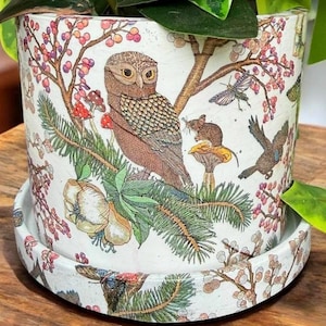 Owl Planter • Woodland Forest Flower Pot • Hand Painted Concrete Planter • Cottagecore Decor • Plant Lover Gift • Saucer Included