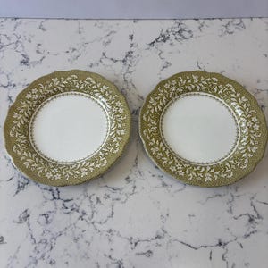 May include: Two round ceramic plates featuring a white center and a wide, scalloped rim decorated with a detailed olive green and white floral vine pattern. The plates have a smooth, glossy finish and a consistent, repeating botanical design.