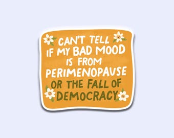 Fall of Democracy Sticker Decal, Feminist Sticker, Pro Women Sticker,  Social Justice Sticker, Human Rights Sticker, Bad Mood Sticker, Funny