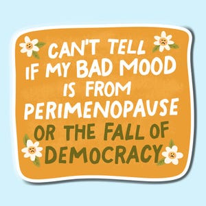 Fall of Democracy Sticker Decal, Feminist Sticker, Pro Women Sticker,  Social Justice Sticker, Human Rights Sticker, Bad Mood Sticker, Funny