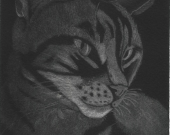 Ritratto personalizzato di animale domestico in mezzatinta – Incisione originale realizzata a mano