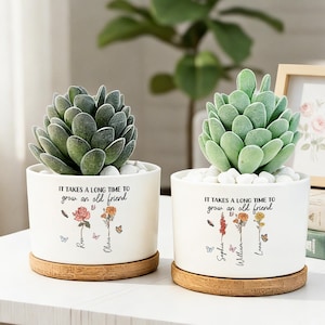 Personlig blomkruka för vänskap, det tar lång tid att växa fram en gammal vängåva, anpassad blomkruka för födelsedag, bästa vängåva, systerkruka