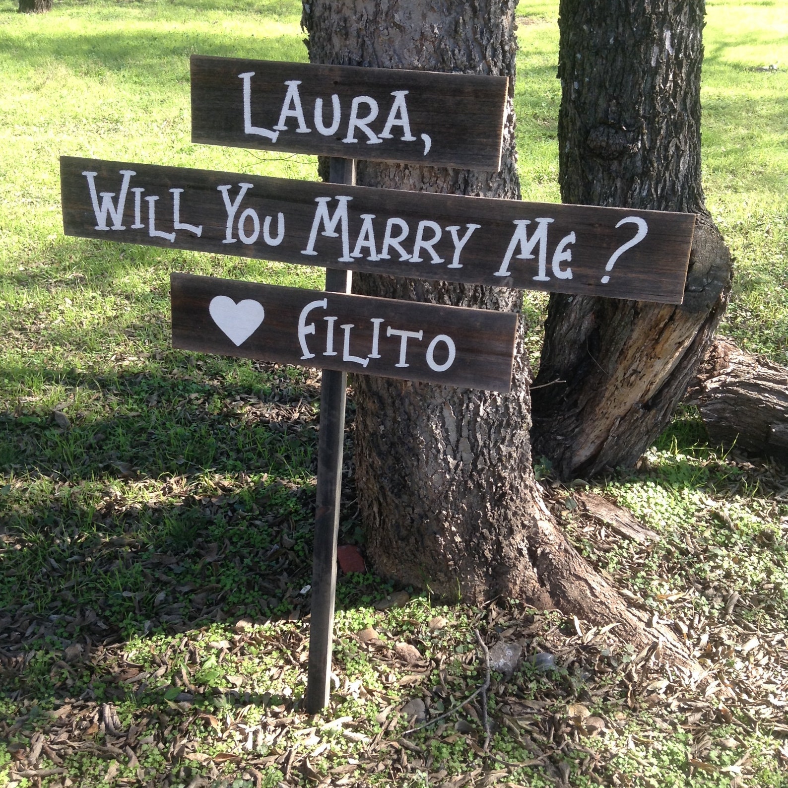 What Sign Will I Marry - zz6hrpl