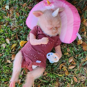 Peut inclure: Une poupée bébé fantastique avec une corne de licorne, vêtue d'un body bordeaux à motifs d'étoiles blanches et d'une sucette. La poupée est allongée sur un oreiller arc-en-ciel rose sur un lit d'herbe.