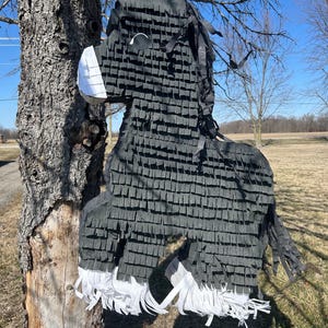 Custom Horse Piñata – Equestrian Party Decor, Horse Birthday Piñata, Cowboy & Cowgirl Party Favor