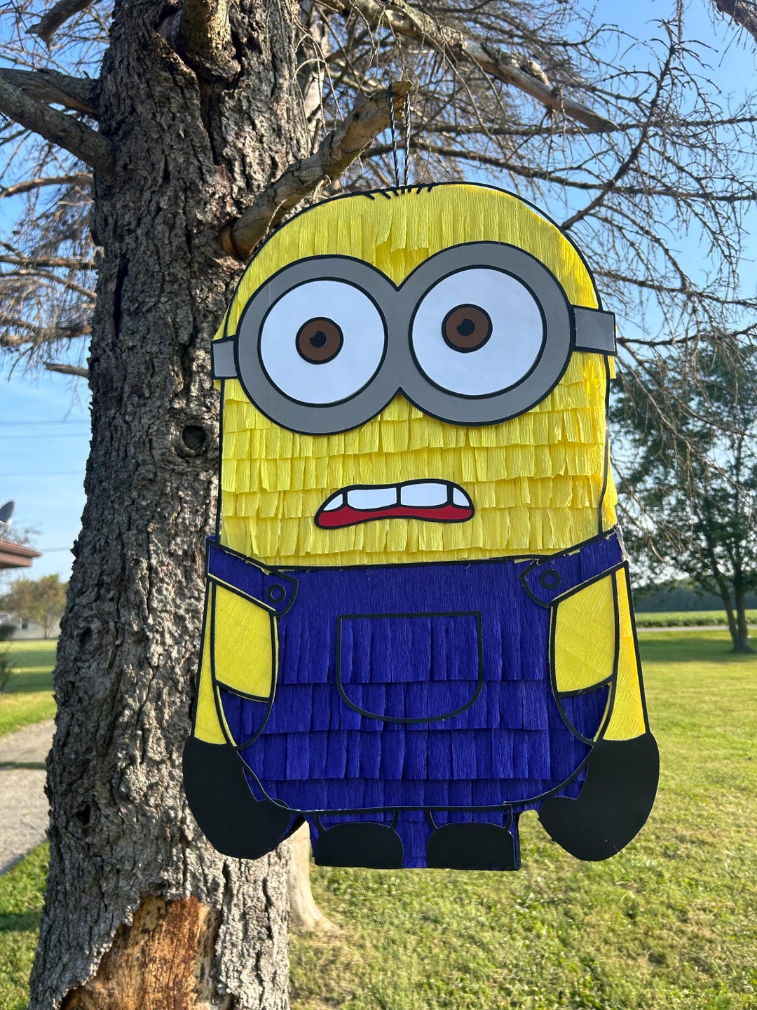 Minion Piñata | Minions Birthday Party Decor | Custom Despicable Me ...