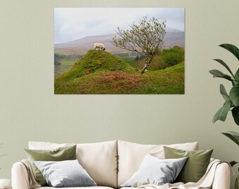 ART PRINT – A gentle inhabitant of Fairy Glen, Scotland