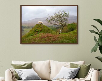 FRAMED POSTER – A gentle inhabitant of Fairy Glen, Scotland