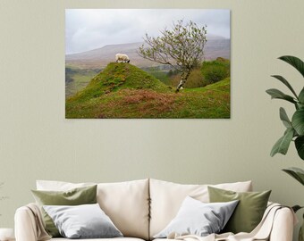 WEB – A gentle resident of Fairy Glen, Scotland