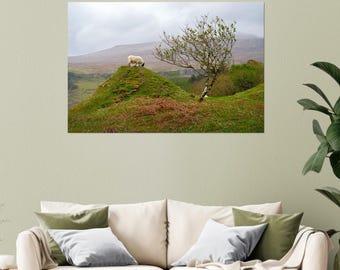 ALUMINIUM DIBOND – A gentle resident of Fairy Glen, Scotland