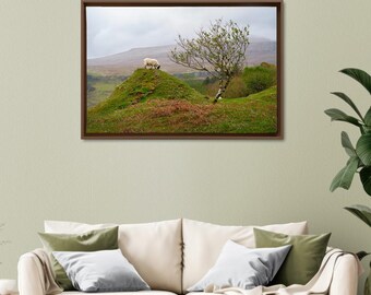 FRAMED CANVAS – A gentle inhabitant of Fairy Glen, Scotland