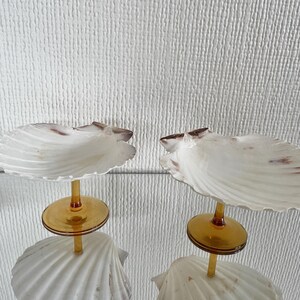 May include: Two decorative seashell serving dishes. Each dish has a white scallop shell top, a golden stem, and a matching shell base. The dishes are set against a textured white background, creating a coastal aesthetic.