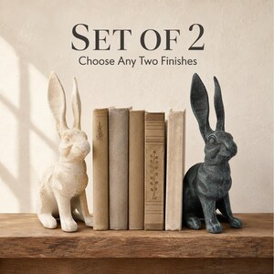 May include: A set of two rabbit figurines, one in a light cream finish and one in a dark charcoal finish, positioned on either side of a row of four neutral-colored books. The text SET OF 2 Choose Any Two Finishes is displayed above the items.
