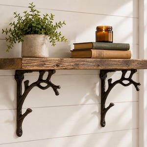 May include: A wall-mounted wooden shelf supported by two dark brown metal brackets shaped like tree branches. The shelf holds a small potted green plant, two stacked hardcover books, and a lit amber glass candle in a jar.