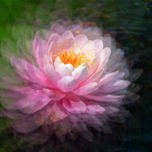 Beautiful Impressionistic Pink Pond Lily Flower, Floral digital art print - Instant Download.