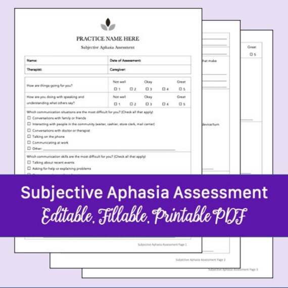 Subjective Aphasia Assessment for Speech Therapy Editable - Etsy