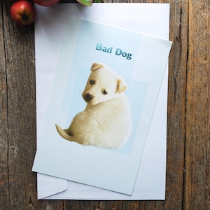 Feliz cumpleaños atrasado, cachorro triste, tarjeta de felicitación americana para él/ella/hombre/mujer/amigo/compañero de trabajo/hermana/hermano/mamá/papá/madre/padre/primo