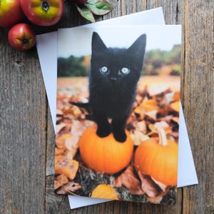 Tarjeta de felicitación de Halloween, gato negro, calabazas, otoño, linda tarjeta, truco o trato, papelería, estética vintage, él/ella/hombre/mujer/niño/niños