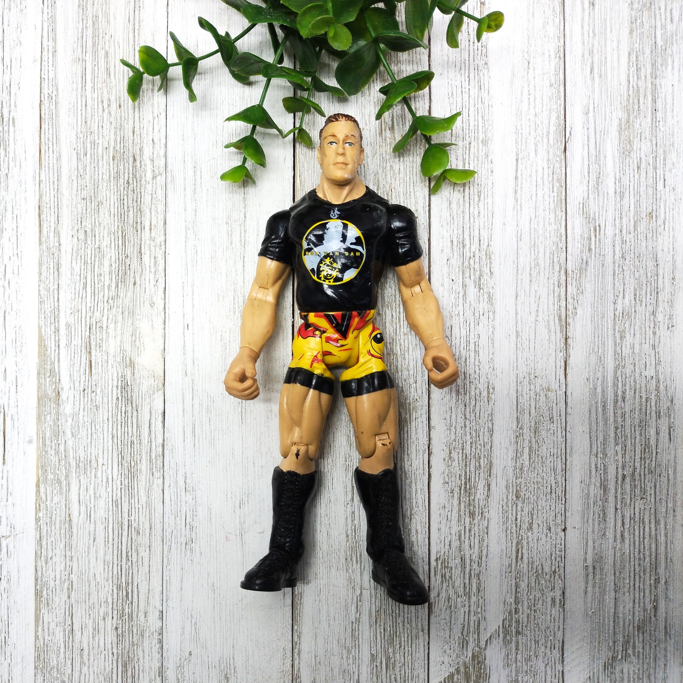 WWF WCW WWE Rob Van Dam Wrestling Action Figure Loose