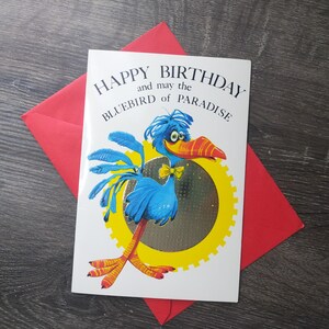 Geburtstagskarte Paradiesvogel kacken auf Kuchen Grußkarte witzig/Humorvoll Freund/Kollegin/Bruder/Schwester/Männer/Frauen/Unisex