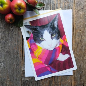 Dumme Katze Foto alles Gute zum Geburtstag Karte nutzlos Geschenk Grußkarte Männer/Frauen/Freund/Kollege/Bruder/Schwester/Mama/Papa/Freund
