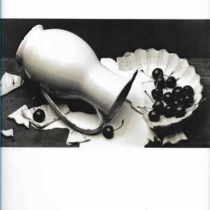 Vintage Irving Penn Still Life Print Photograph Black White Photo