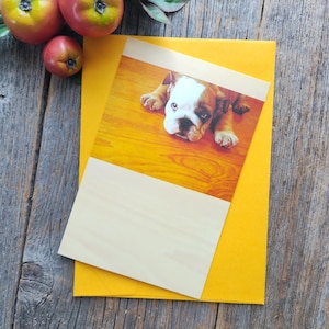 carte de vœux chiot bouledogue êtes-vous toujours en colère contre moi ? Papeterie de salutations américaines animal mignon/doux en pensant à vous pardonne-moi hommes/femmes