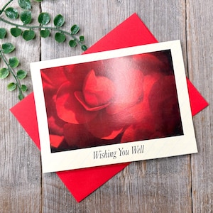 Carte de voeux de rétablissement en vous souhaitant un bon rétablissement avec des roses rouges en pensant à vous pour homme/femme/lui/elle/ami/collègue/voisin/parent vintage