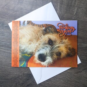 Je pense à vous carte de voeux chiot dod débraillé peta animal carte vierge papeterie vintage nos lui/elle/hommes/femmes/soeur/frère/père/maman/tante