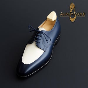 Men’s Handmade blue and white Oxford shoe,Men’s dress up wingtip formal shoes