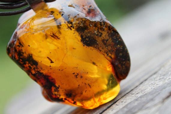 Amber pendant 2024 with insect