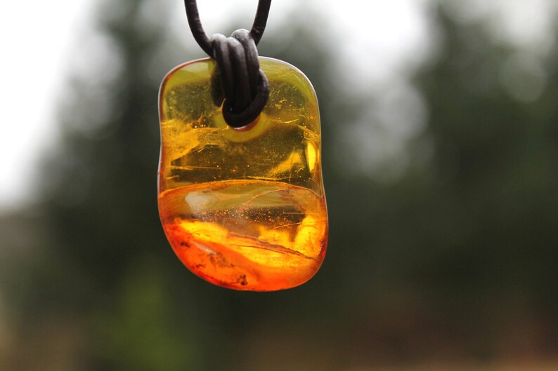 Amber Necklace Honey Amber Pendant Yellow Natural Honey Baltic Amber Charm Unisex Pendant Gift for him Brown Leather