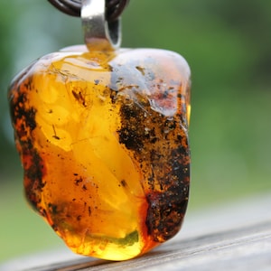 Ciondolo In Ambra Con Incluso - Pendente Con Farfalla Fossile, Design Unico | Per Collezionisti E Appassionati - Foto 11