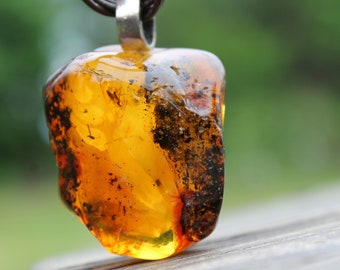 Amber with Inclusion Insect Pendant Fossil  Jewelry Rough Stone Prehistoric Mens Necklace