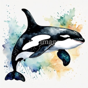 8 High Quality Designs of Orcas, Clip Art 8 JPGs - Digital Print, Watercolor, Wall Art, Commercial Use - Digital Download
